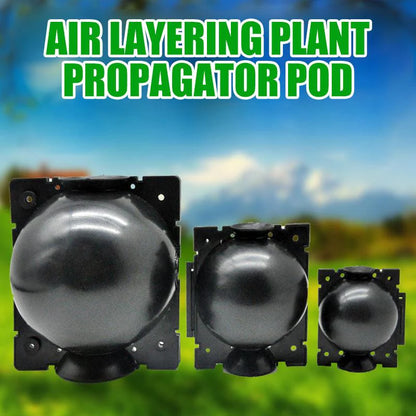 🔥Hot Sale 50% OFF🔥Air Layering Plant Propagator Pod