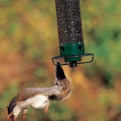 🔥New Summer 2023🔥100% Squirrel-Proof Bird Feeder✨