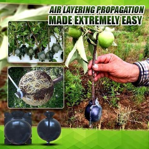 🔥Hot Sale 50% OFF🔥Air Layering Plant Propagator Pod