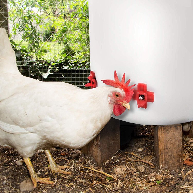 Horizontal Side Mount Automatic Poultry Waterer (10PCS)