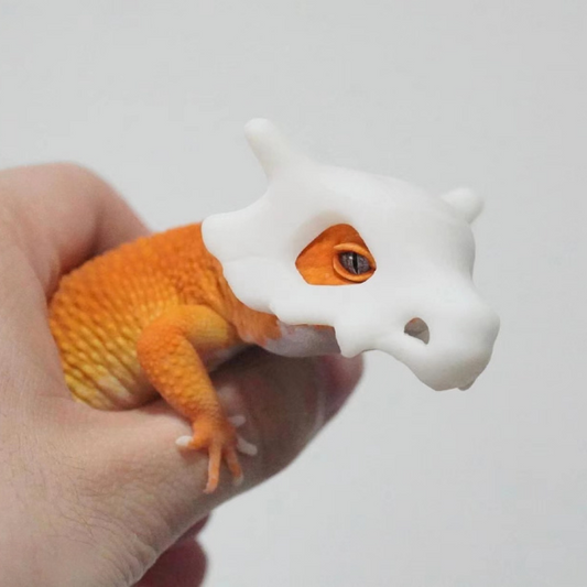 Pokemon Cubone Skull | Eyelid Gecko Helmet | 3-D Printed Skull