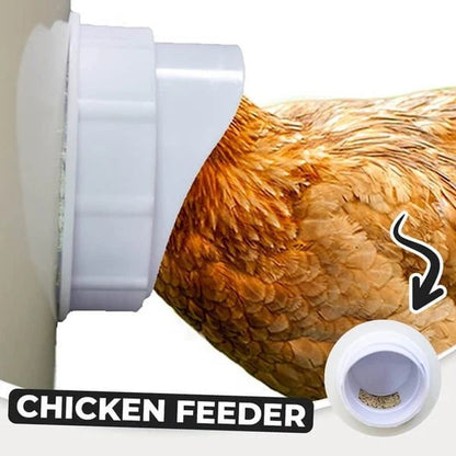 🔥Hot sale 49% OFF🔥DIY Chicken Feeder