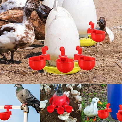 (⚡Flash Sale Today - 49% OFF) 6PCS/SET Automatic Poultry Drinking Bowl - Buy 2 Get 1 Free