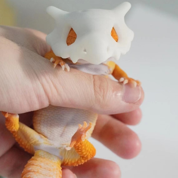 Pokemon Cubone Skull | Eyelid Gecko Helmet | 3-D Printed Skull