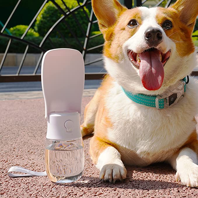 🔥Hot Sale 50% OFF🔥 Portable Dog/Cat Water Bottle Feeder